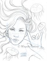 Aquarius (WIP)